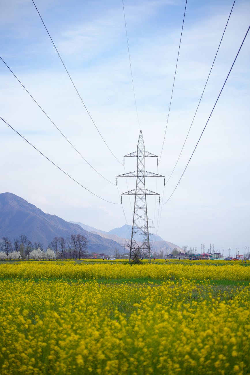 A panoramic view of a large-scale terrestrial rectenna field, seamlessly integrated into a natural landscape, with a subtle energy beam visible descending from the sky. The image conveys harmony between advanced technology and the environment.