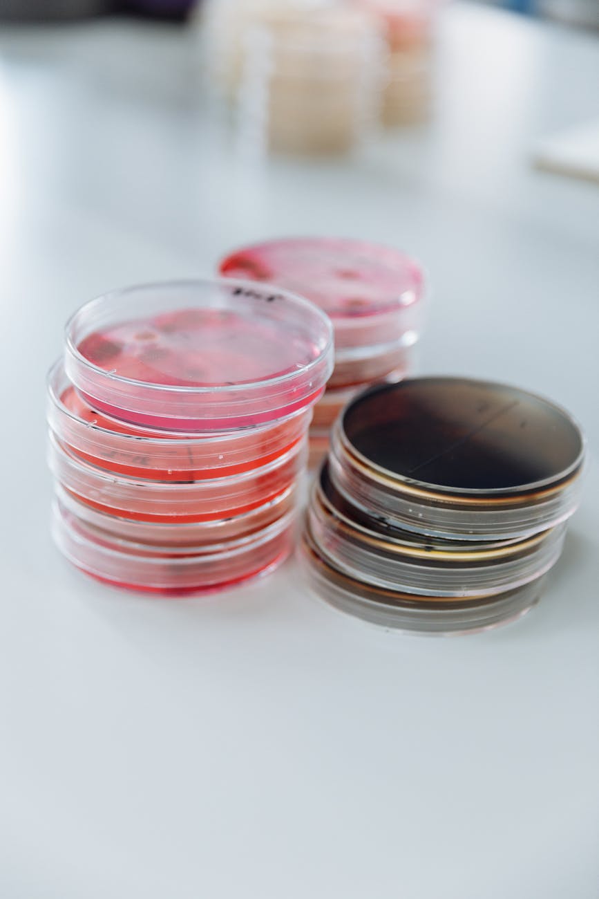 A split-screen visual comparing a traditional petri dish cell culture with a detailed organ-on-a-chip model, emphasizing the increased complexity and human-relevance of the latter.
