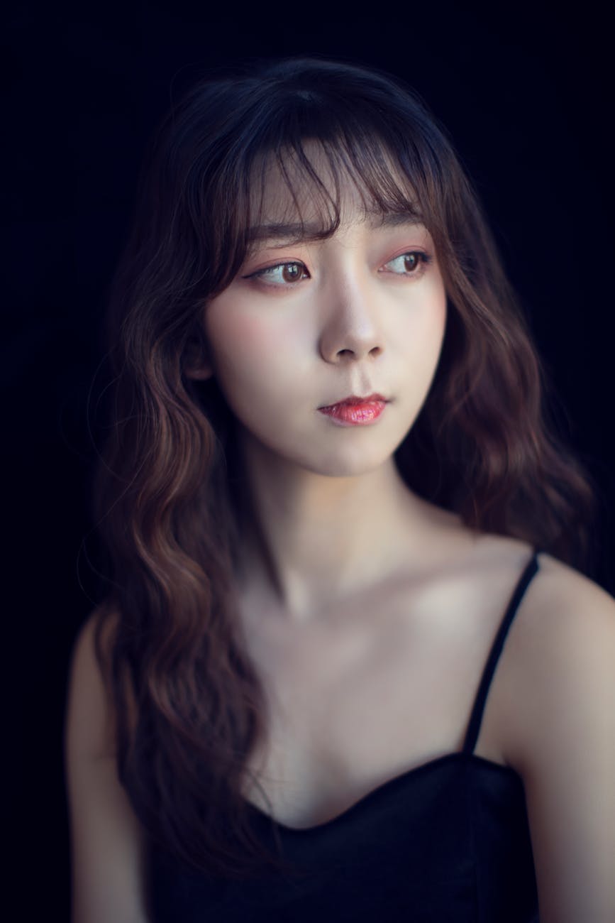 간 오거노치프 모델