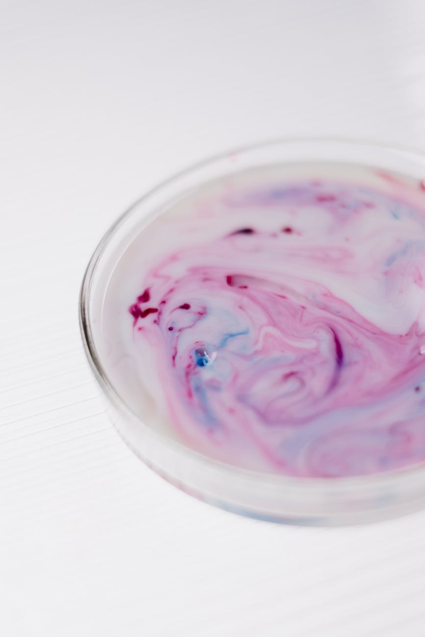 A vibrant, multi-colored illustration of various organoids (brain, gut, liver, tumor) in a petri dish, showcasing their intricate 3D structures and diverse cellular compositions.