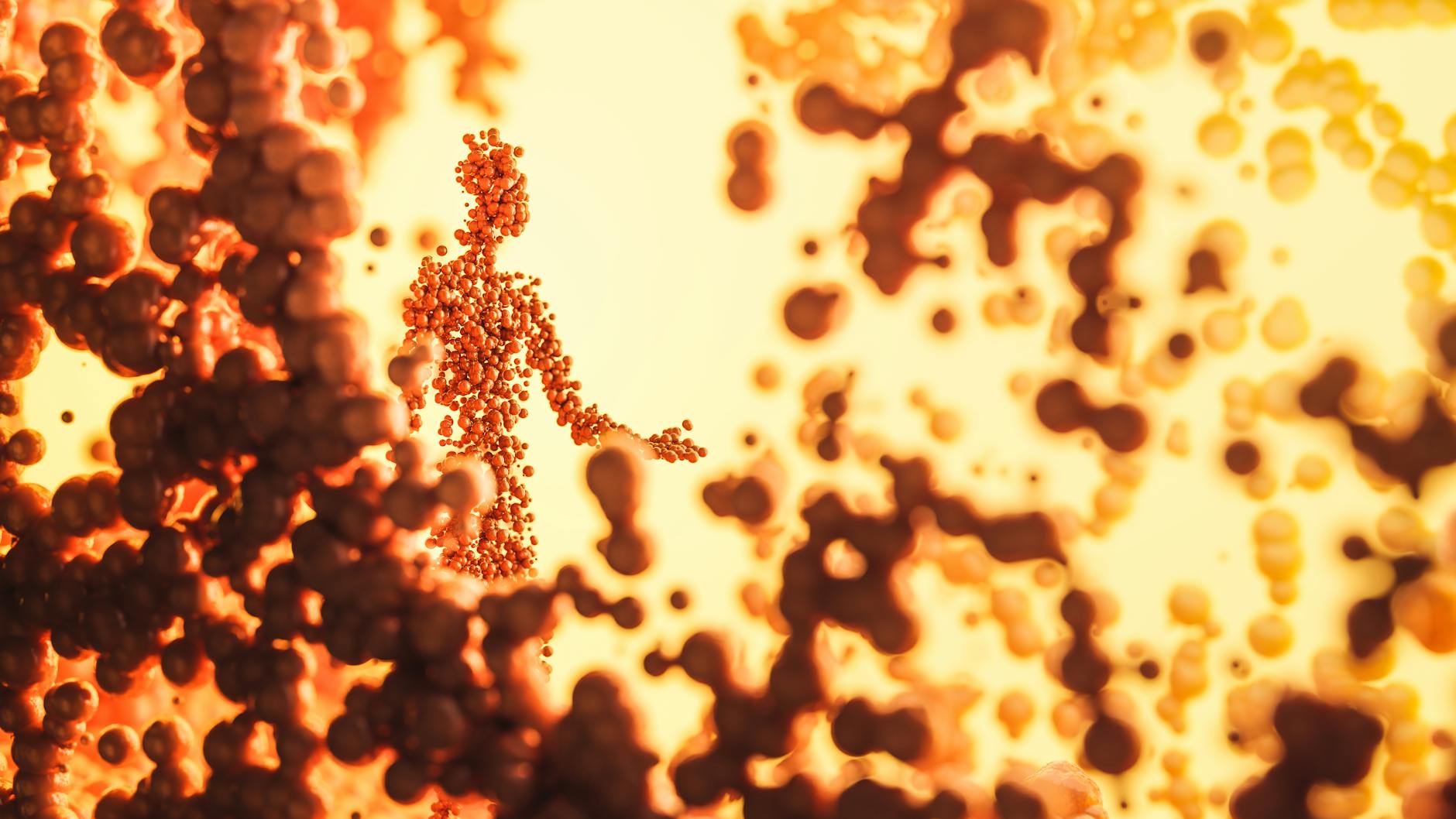 A conceptual rendering of a bio-engineered organ grown from stem cells, showcasing its intricate vascularization and cellular organization, representing the ultimate goal of regenerative medicine.