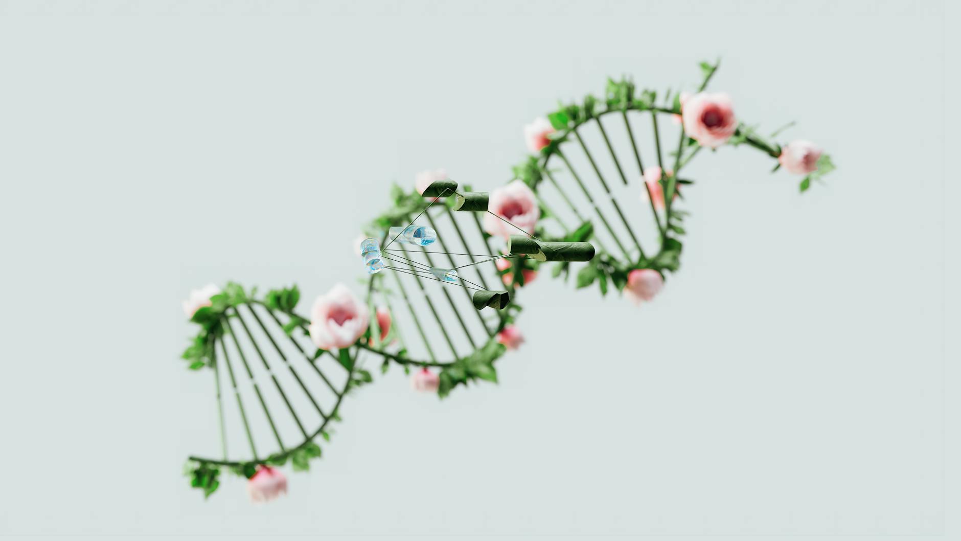 An illustration of the spatial genomics and single-cell multi-omics approach