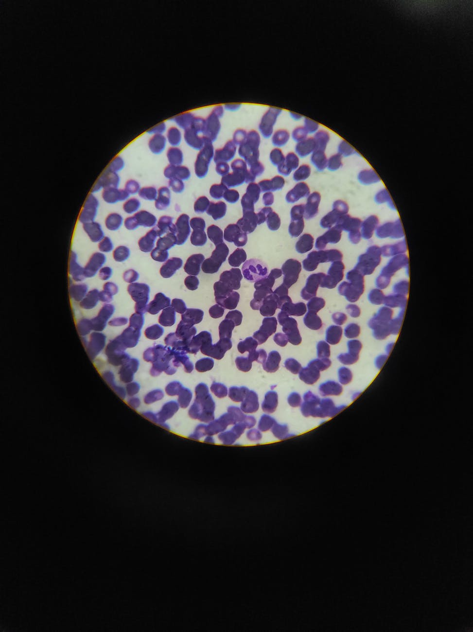 A vibrant illustration of a cell undergoing partial reprogramming, with distinct epigenetic markers (e.g., methyl groups) being reset on DNA, maintaining its original cell type.