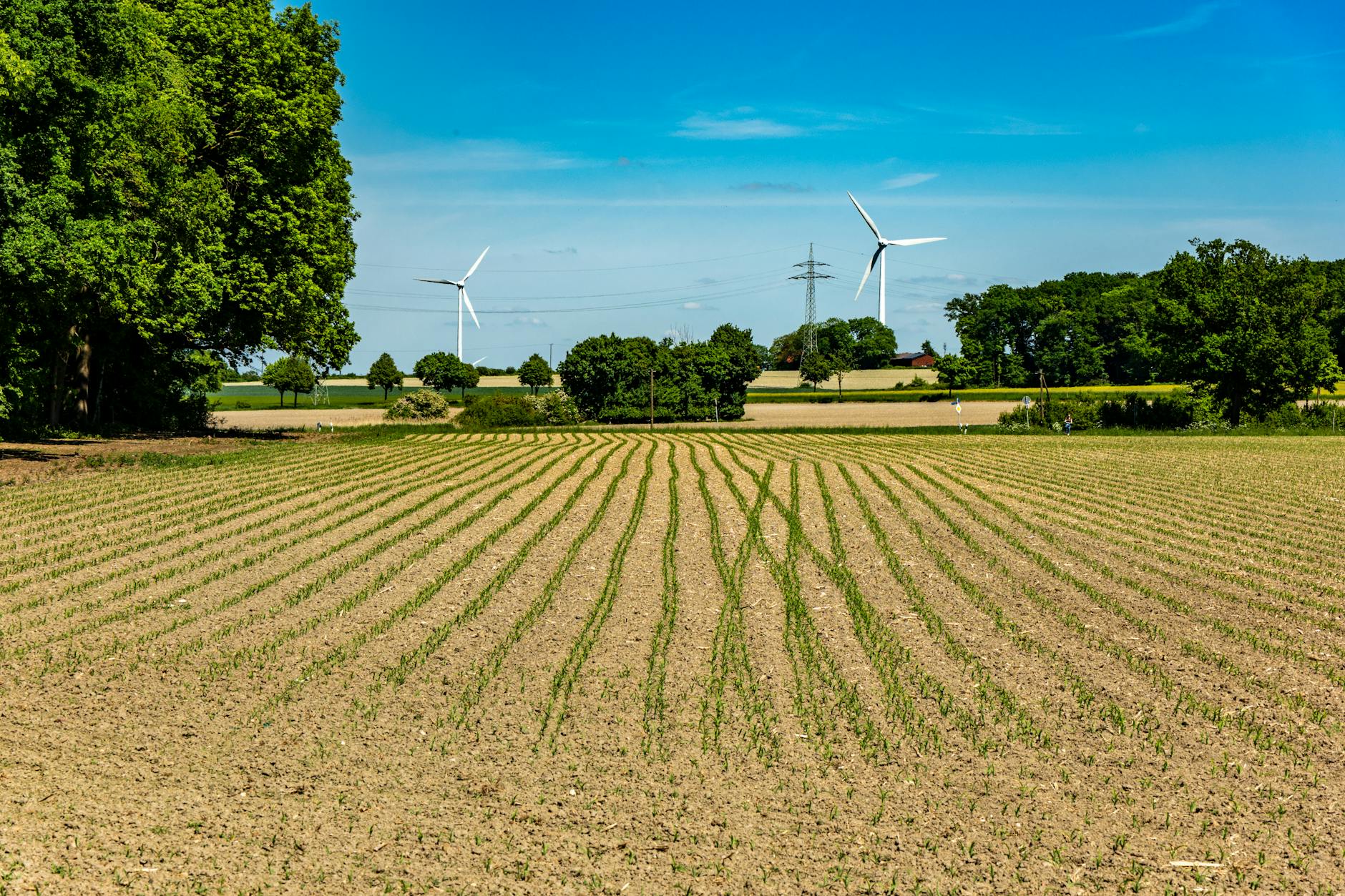 Green Hydrogen Applications Across Sectors