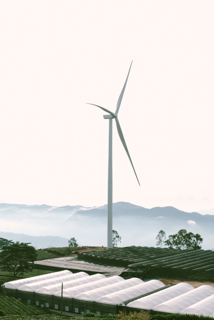 Companies Investing in Green Hydrogen Technologies