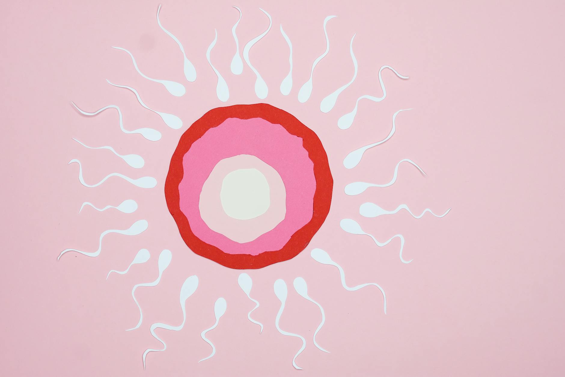 Potential therapeutic applications of epigenetic reprogramming