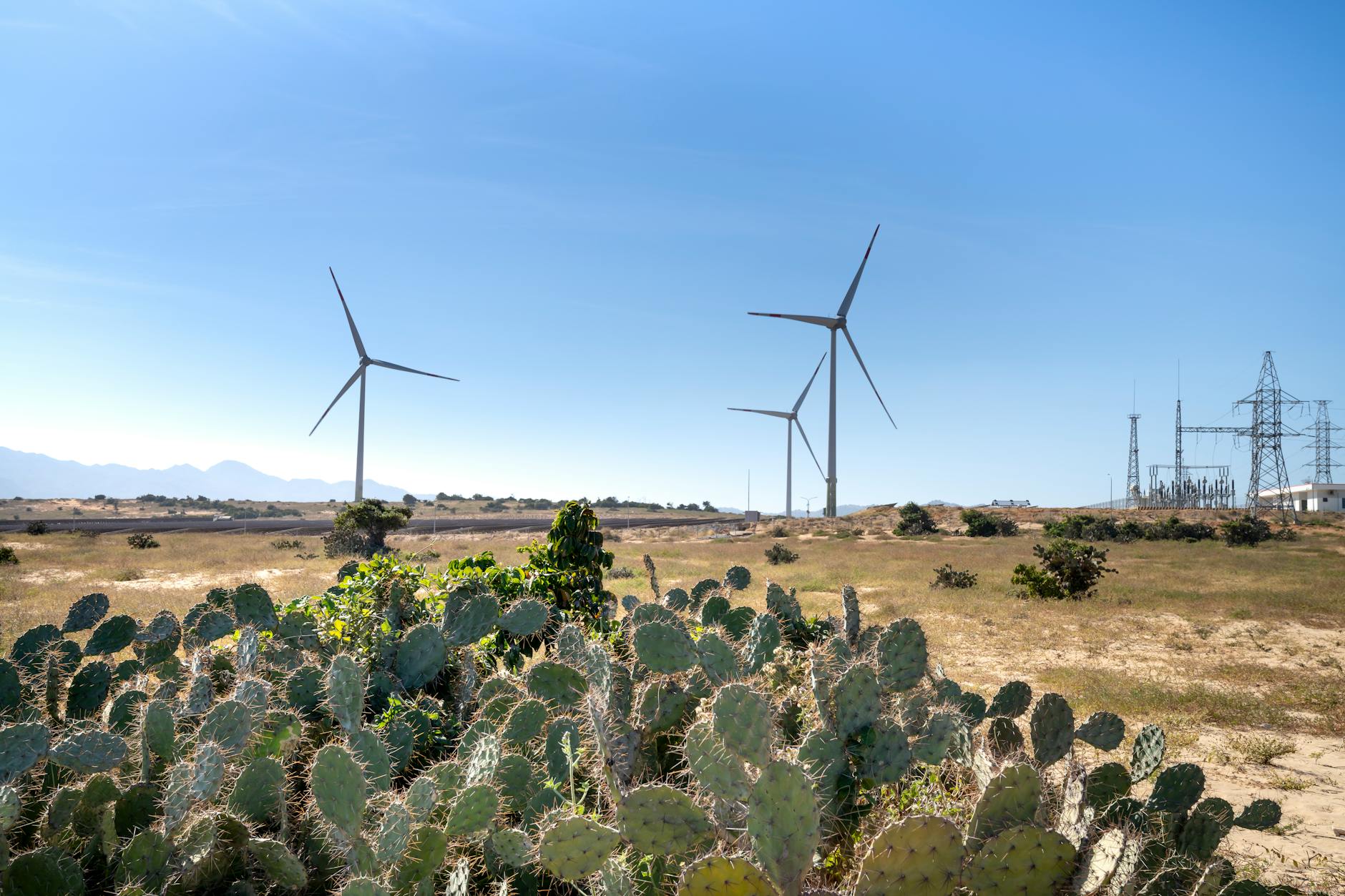Infographic comparing different renewable energy sources