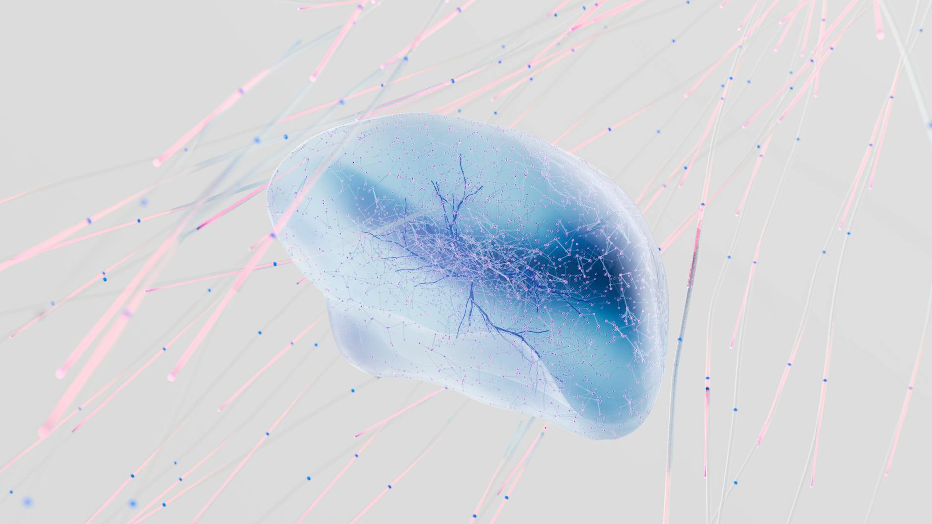 A visual metaphor depicting the convergence of a biological brain's neural network with a digital circuit board, symbolizing the fusion of nature and technology.