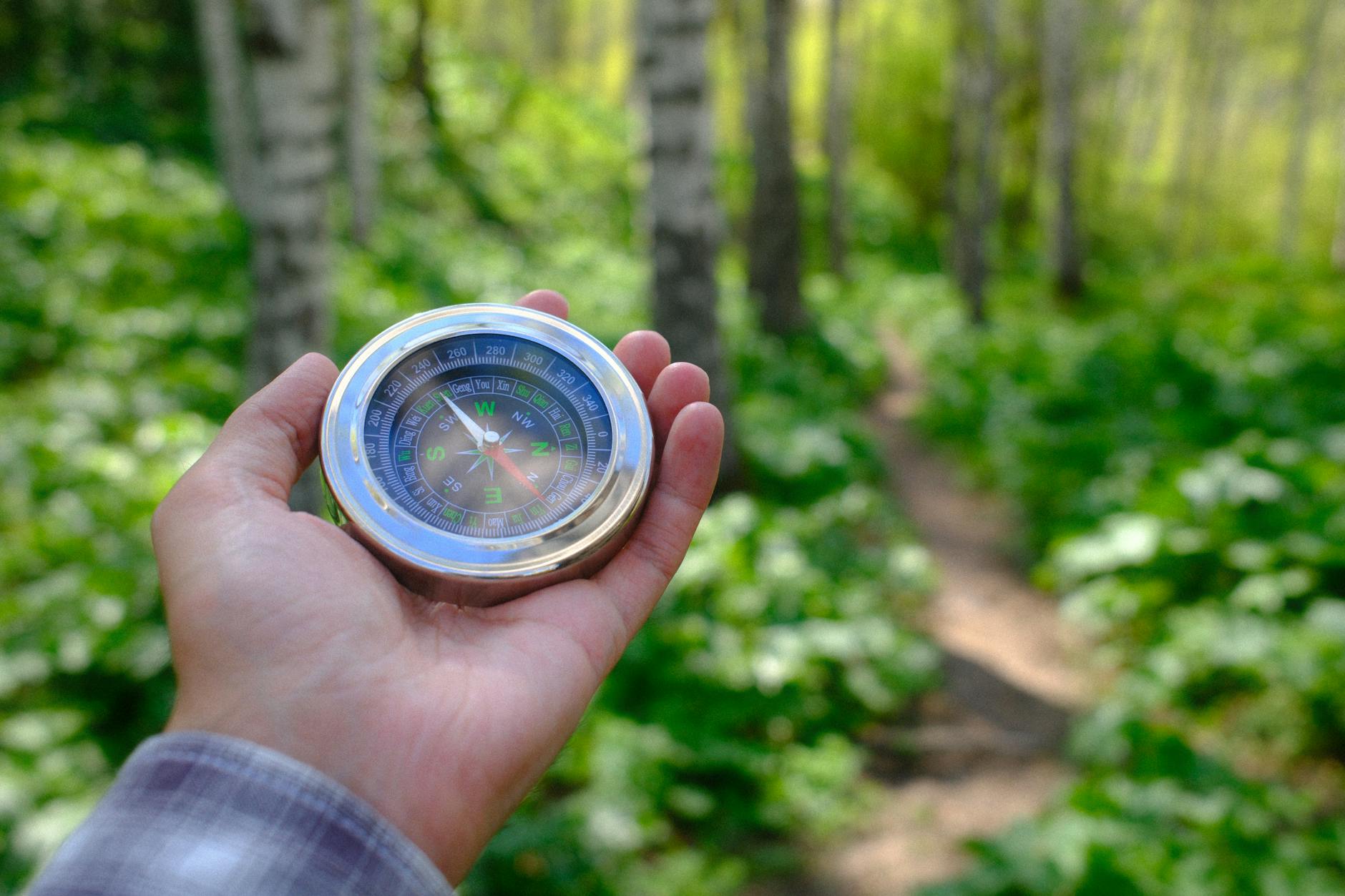 A symbolic image of a compass pointing towards a green, healthy planet, with abstract lines representing flight paths, signifying guidance towards a sustainable future.