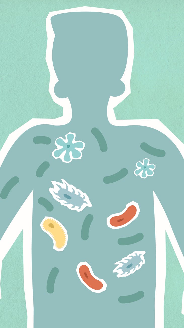 A symbolic representation of a human silhouette with glowing, revitalized cellular structures within, illustrating the concept of internal biological rejuvenation.