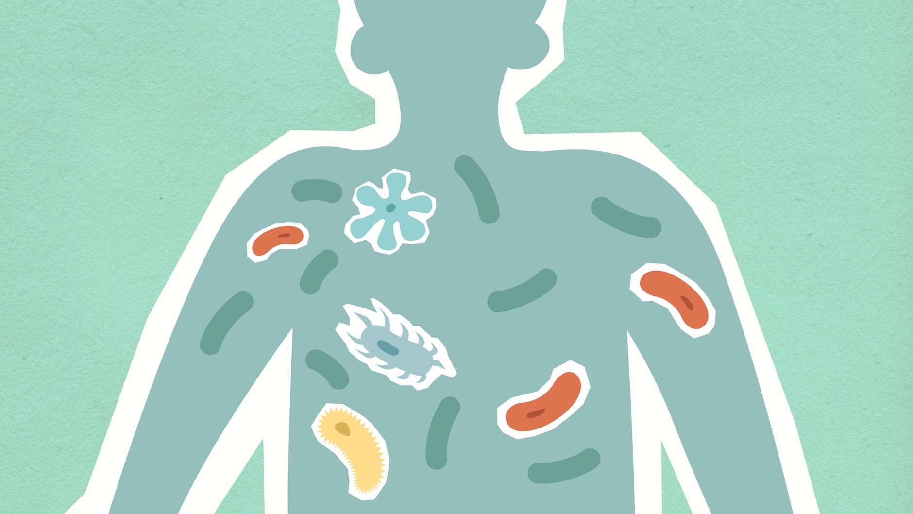 An illustration of the human microbiome and its relationship with diet and health