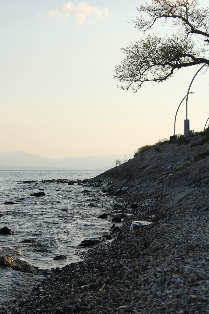 A serene, natural landscape infused with subtle technological elements, symbolizing the harmonious integration of nature, technology, and human well-being.