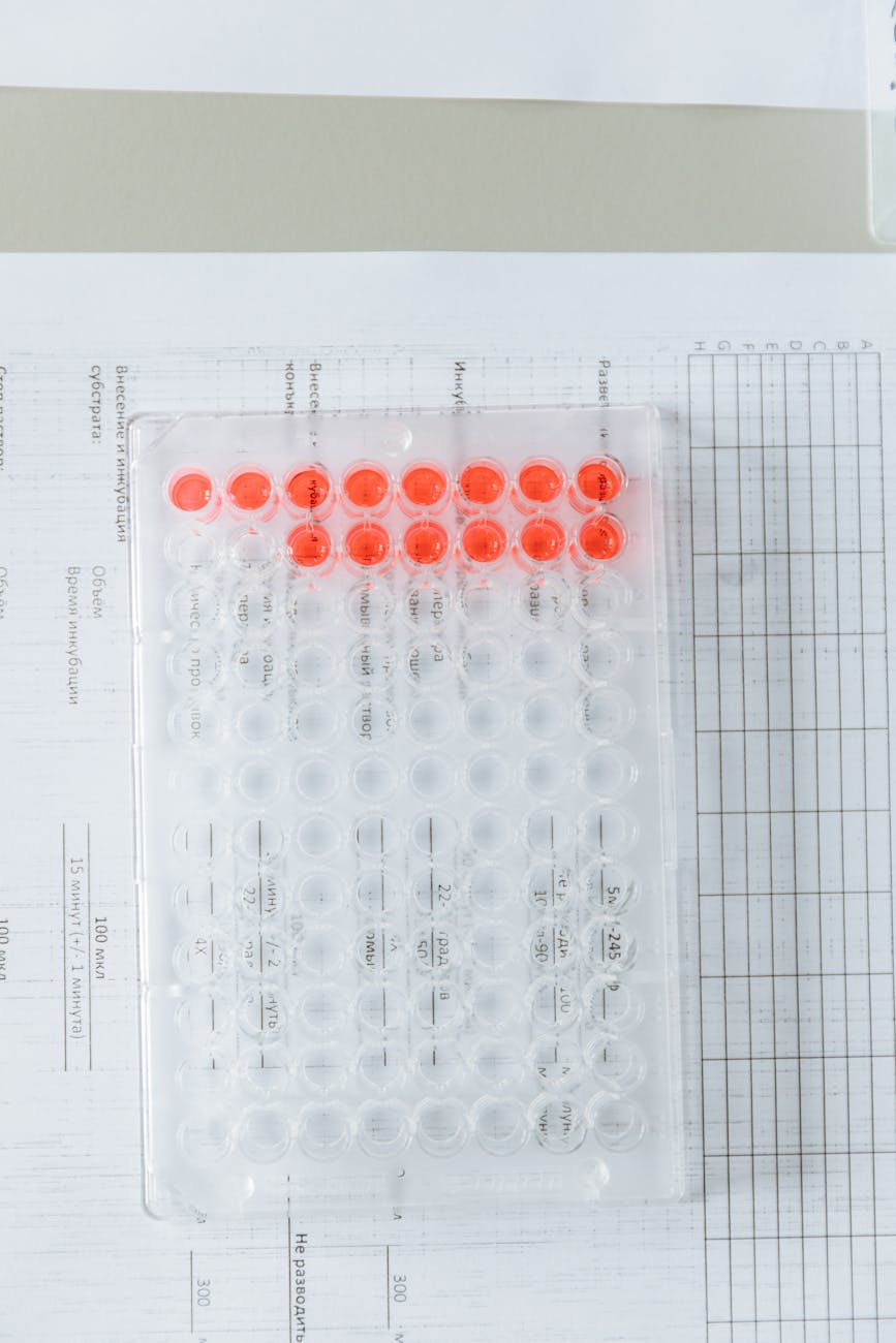 A schematic illustrating the flow of data from individual biological samples (genomic DNA, microbiome sample) through AI processing to personalized health recommendations (nutrition, medication, wellness plans).